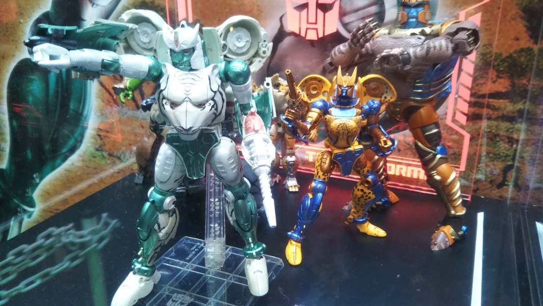 Winter Wonderfest 2020   MP 50 Beast Wars Masterpiece Tigatron Photo Roundup 08 (8 of 9)